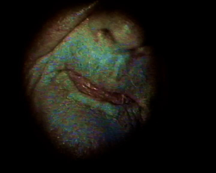 Occident Occident 16mm extrait 1991 24