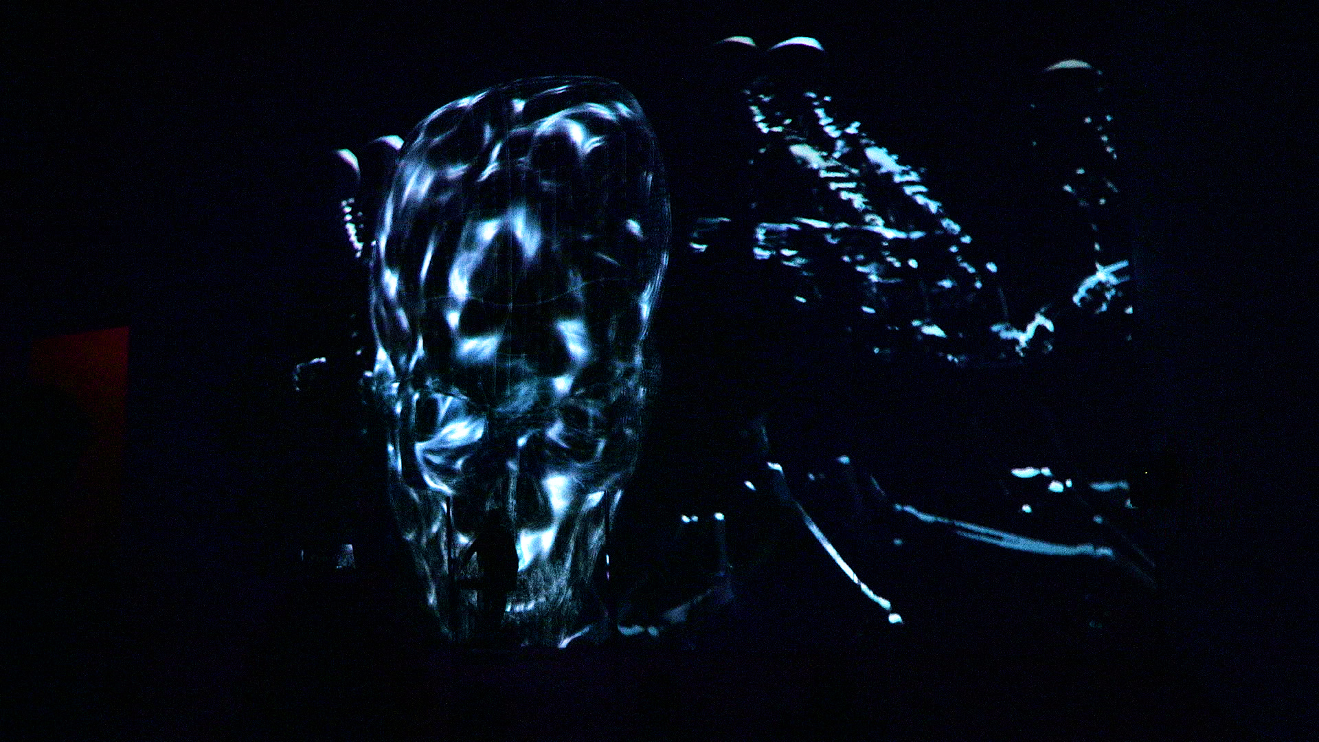 Master Live Comete 002